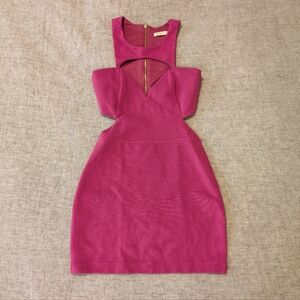 Arden B Bodycon Dress Fuchsia Size XS